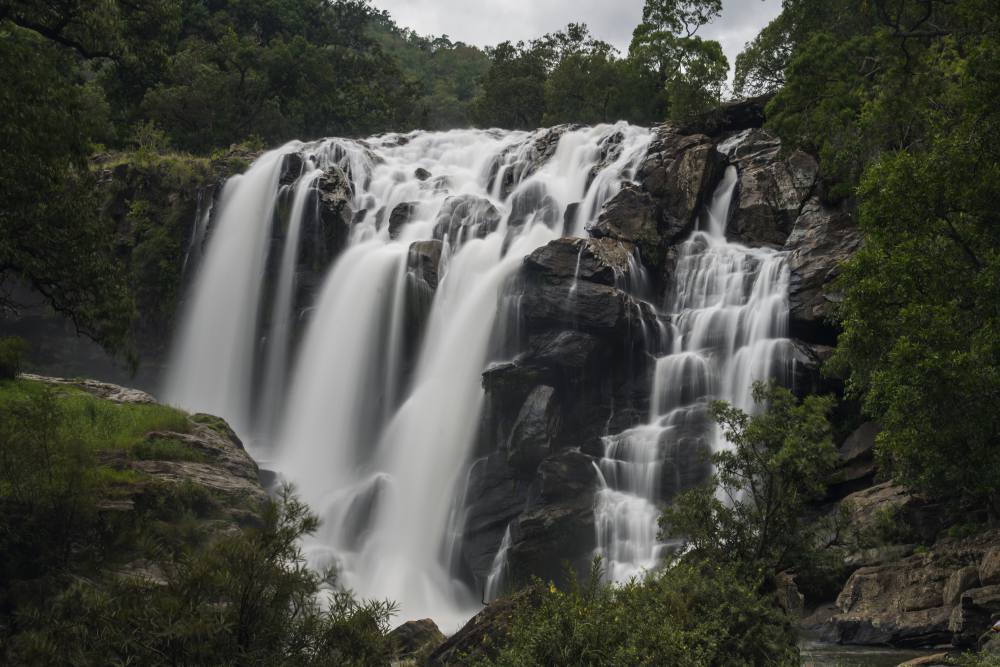 Munnar (31)